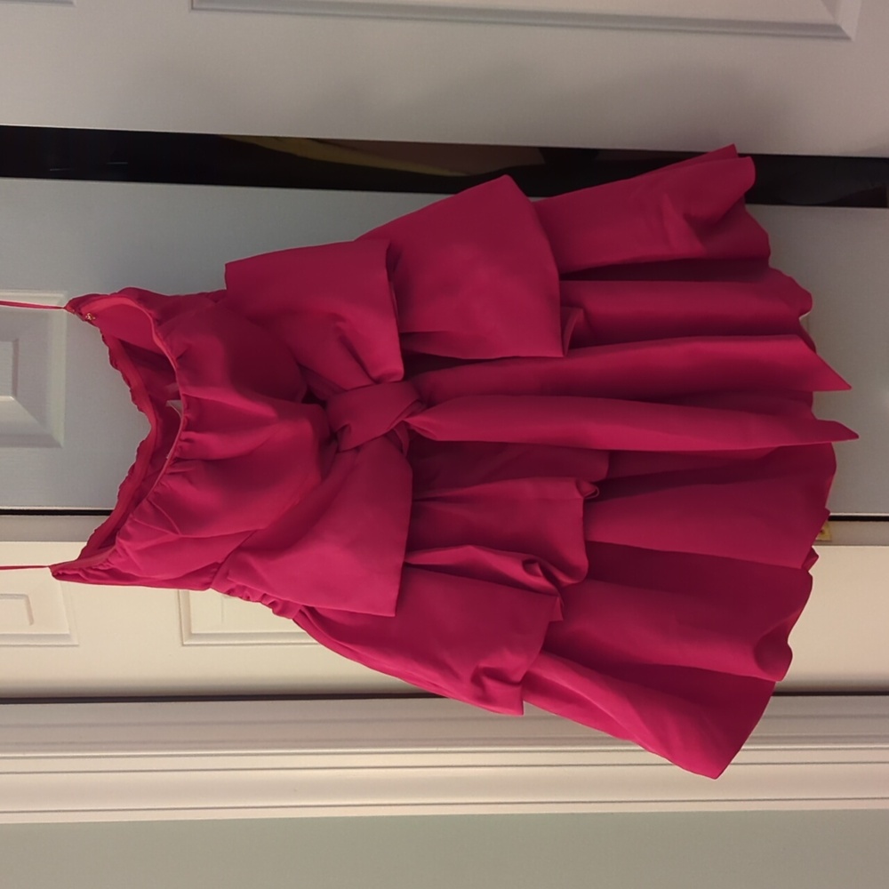 LoveShackFancy Gallant Mini Dress in Fuschia Red